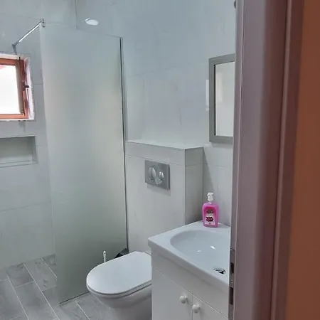 Delight 302 Pogradec